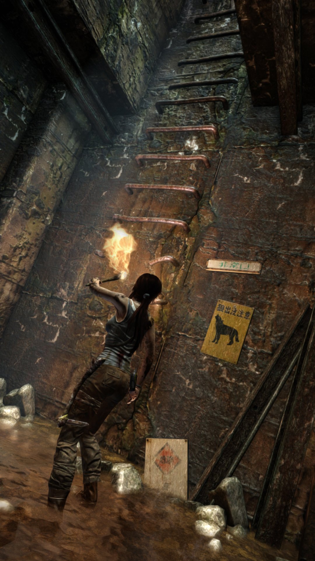 Tomb Raider - Imagen 24